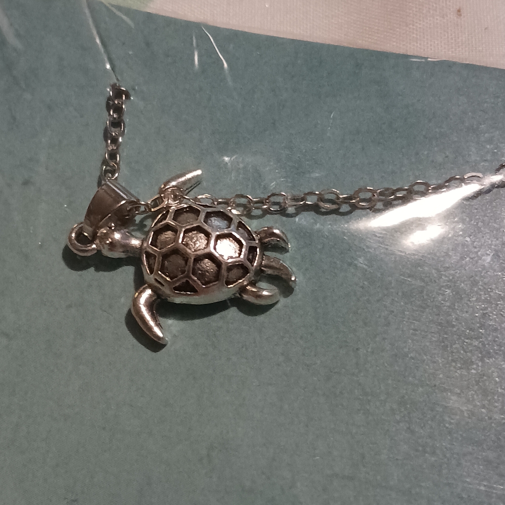 Nwt! Effy Turtle Necklace (Silver)